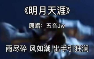 抖音十大神曲,盘点网络流行音乐-音乐魅力解析