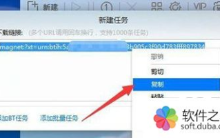 迅雷在线种子网使用指南-高效下载解决方案解析