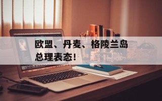 欧盟、丹麦、格陵兰岛总理表态！