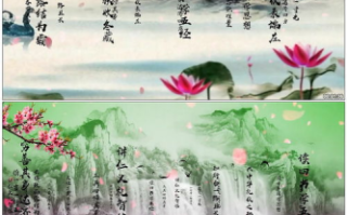 《野花香》完整版，经典文学作品深度解读与获取方式