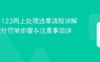交管12123网上处理违章流程详解 在线支付罚单步骤与注意事项详解