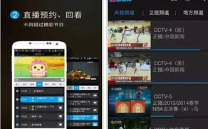 中央1台直播,高清观看体验-节目内容与观看技巧解析