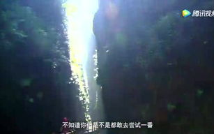 《伏天氏》：一部奇幻巨著的深度解析与魅力探秘