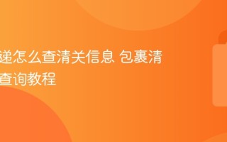 国际快递怎么查清关信息 包裹清关状态查询教程