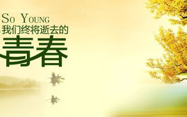 匆匆那年,青春记忆的SEO优化策略-情感价值与网络传播解析