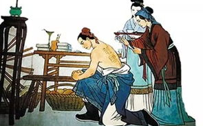 双龙戏凤,中国传统图案的象征意义与当代应用-文化内涵解析