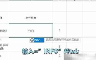 Excel INFO函数使用技巧