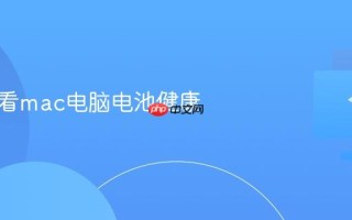 怎么查看mac电脑电池健康