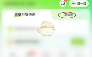 《丰巢》查询运单号方法
