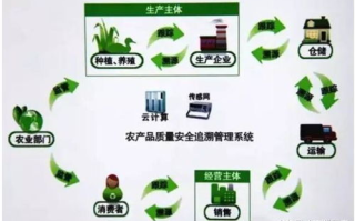 区块链溯源系统搭建：打造透明可信的商品追踪体系