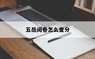 五岳阅卷怎么查分