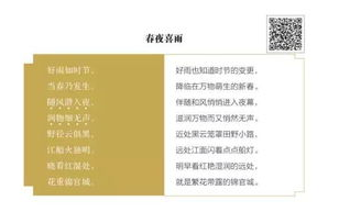 imtoken导入助记词分步教程：从备份恢复到安全管理
