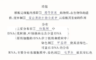 免费下载NBA篮球赛直播视频-合法途径与技巧解析