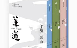 灵与肉三部曲阅读顺序解析-正确阅读路径指南