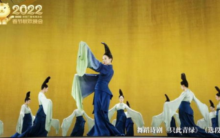 2022年春节联欢晚会,精彩节目与幕后故事大揭秘-观众好评如潮