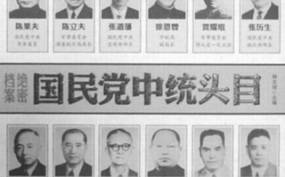 打入军统内部谍战片：深入敌后，揭示情报真相