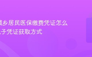 2026城乡居民医保缴费凭证怎么打印 电子凭证获取方式