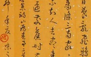 山房春事,静谧雅致生活解析-寻找自然的和谐