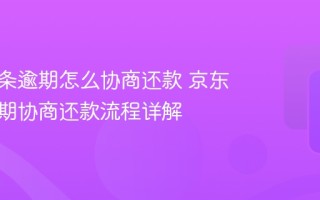 京东白条逾期怎么协商还款 京东白条逾期协商还款流程详解