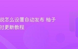 柚子小说怎么设置自动发布 柚子小说定时更新教程