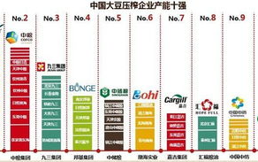欧洲Vodafone WiFi 18大豆行情解析-实时数据与投资策略