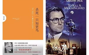 电影推荐大全，类型风格全覆盖-观影指南解析