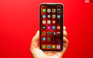 iphone11尺寸怎么看_iphone11尺寸查看方法【教程】