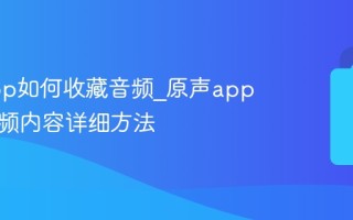 原声app如何收藏音频_原声app收藏音频内容详细方法