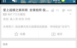 成全视频免费观看在线观看第13集预告-高清流畅观看指南
