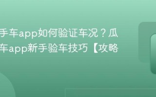 瓜子二手车app如何验证车况？瓜子二手车app新手验车技巧【攻略】