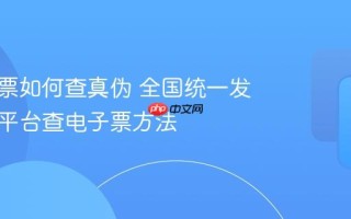 电子发票如何查真伪 全国统一发票查询平台查电子票方法