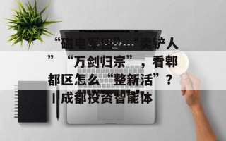 “磁电军团”“卖铲人”“万剑归宗”，看郫都区怎么“整新活”？丨成都投资智能体