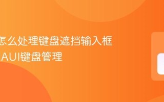 MAUI怎么处理键盘遮挡输入框问题 MAUI键盘管理