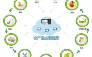 真正做区块链的公司：揭秘行业先锋与未来趋势