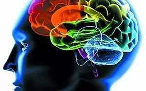 科学提升大脑潜能，打造最强大脑-记忆力提升策略与实践