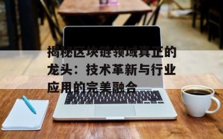 揭秘区块链领域真正的龙头：技术革新与行业应用的完美融合