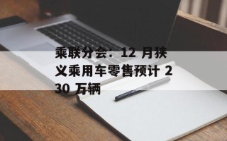 乘联分会：12 月狭义乘用车零售预计 230 万辆