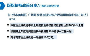 两个人主演免费完整高清视频在线观看指南-合法途径分享