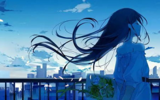 缘分天空动漫免费观看全攻略-在线资源搜索与选择
