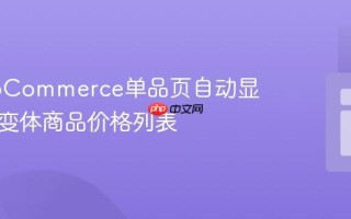 在WooCommerce单品页自动显示所有变体商品价格列表