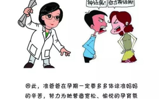 综艺推荐排行榜,让观众笑声不断-热门节目盘点