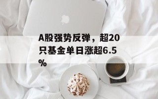 A股强势反弹，超20只基金单日涨超6.5%