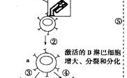 几天不见怎么这么湿-原因分析与解决策略