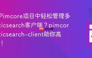 如何在Pimcore项目中轻松管理多个Elasticsearch客户端？pimcore/elasticsearch-client助你高效集成！