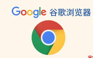 谷歌浏览器官方APP入口 谷歌在线浏览器免安装入口