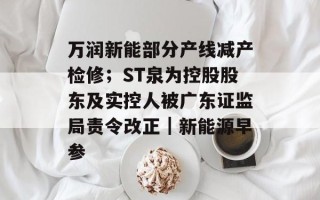 万润新能部分产线减产检修；ST泉为控股股东及实控人被广东证监局责令改正｜新能源早参