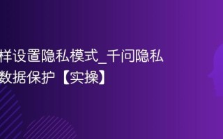 千问怎样设置隐私模式_千问隐私设置与数据保护【实操】