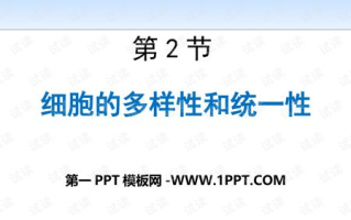 《中国好声音》第二季学员,音乐才华的展现-成就与影响解析