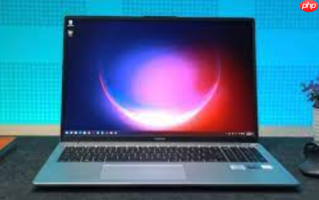 Windows10怎么升级安装Windows11 Windows10检测更新或通过安装助手升级到Win11保留数据【技巧】