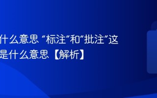 批注是什么意思 “标注”和“批注”这两个词是什么意思【解析】